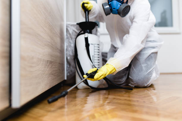 Best Pest Control for Restaurants  in Uniondale, NY