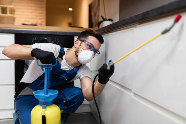Best Bed Bug Extermination  in Uniondale, NY