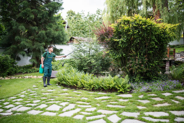 Best Best Pest Control Companies  in Uniondale, NY