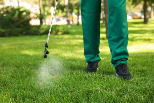 Best Wasp Removal Services  in Uniondale, NY