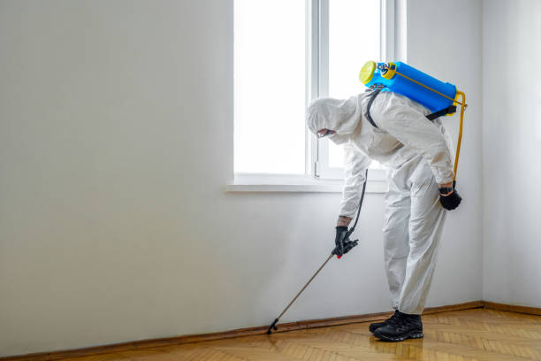 Best Pest Prevention Services  in Uniondale, NY