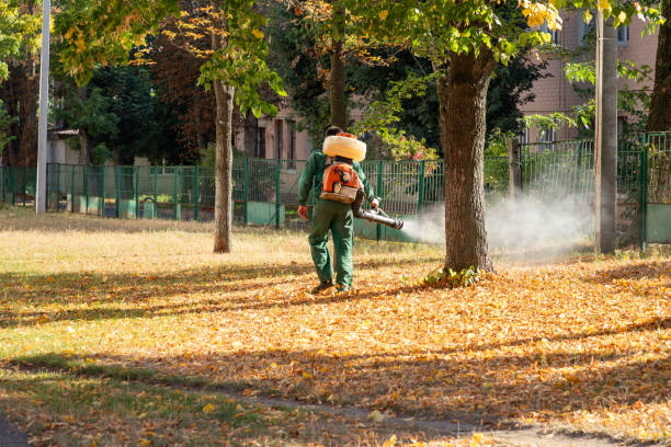 Professional Pest Control in Uniondale, NY