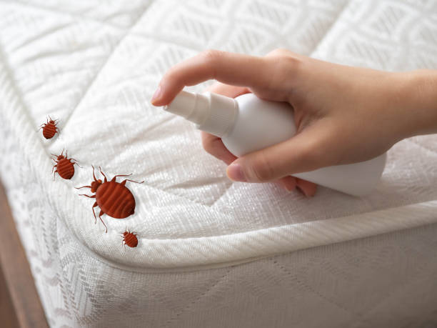 Best Residential Pest Control  in Uniondale, NY