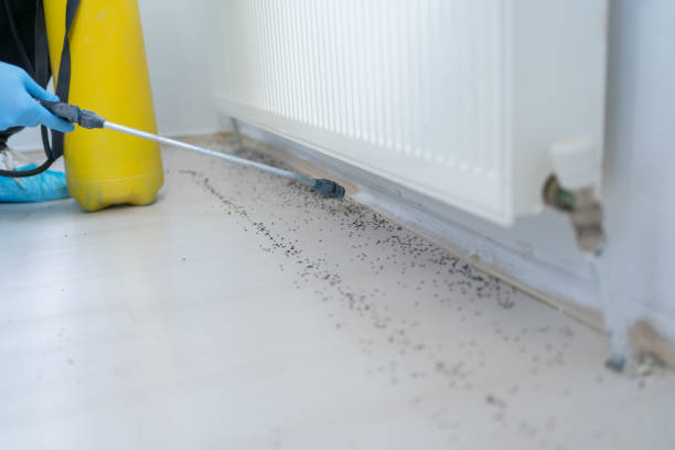 Best Pest Inspection Near Me  in Uniondale, NY